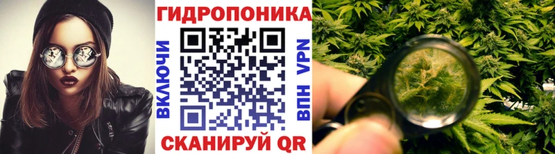 Купить  Семёнов  Шишки марихуана семена 